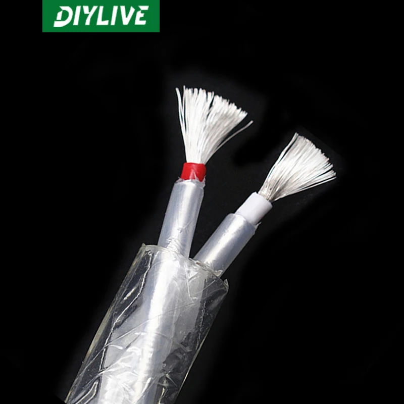 DIYLIVE HiFi Lipton silver-plated 2 core fever speaker cable HIFI central speaker speaker cable 10mm loose wire