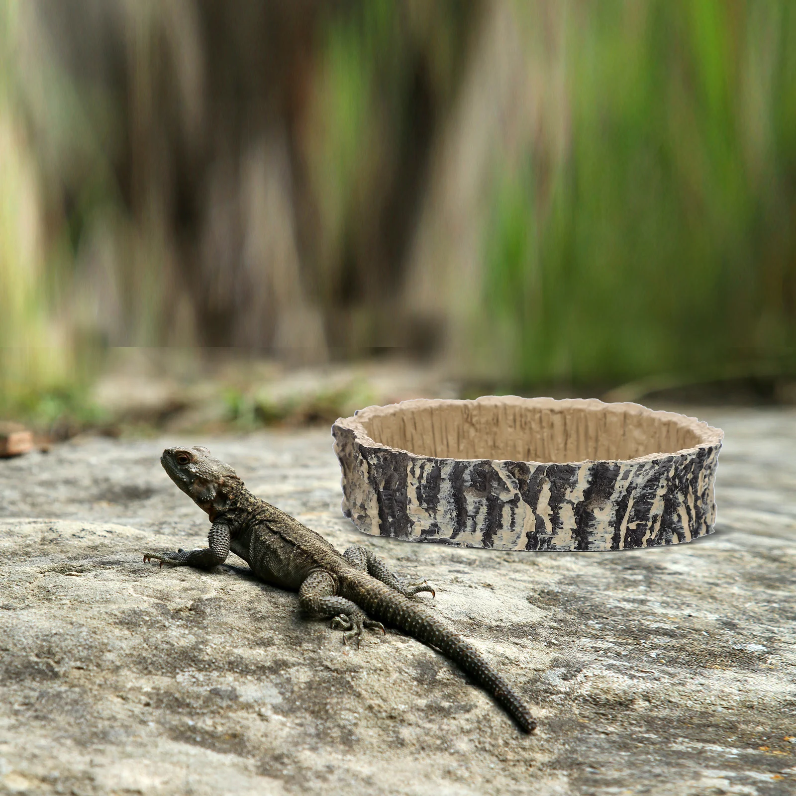 Террариум Блюдо Червь Вода Рептилия Чаша Контейнер для животных Кормушка