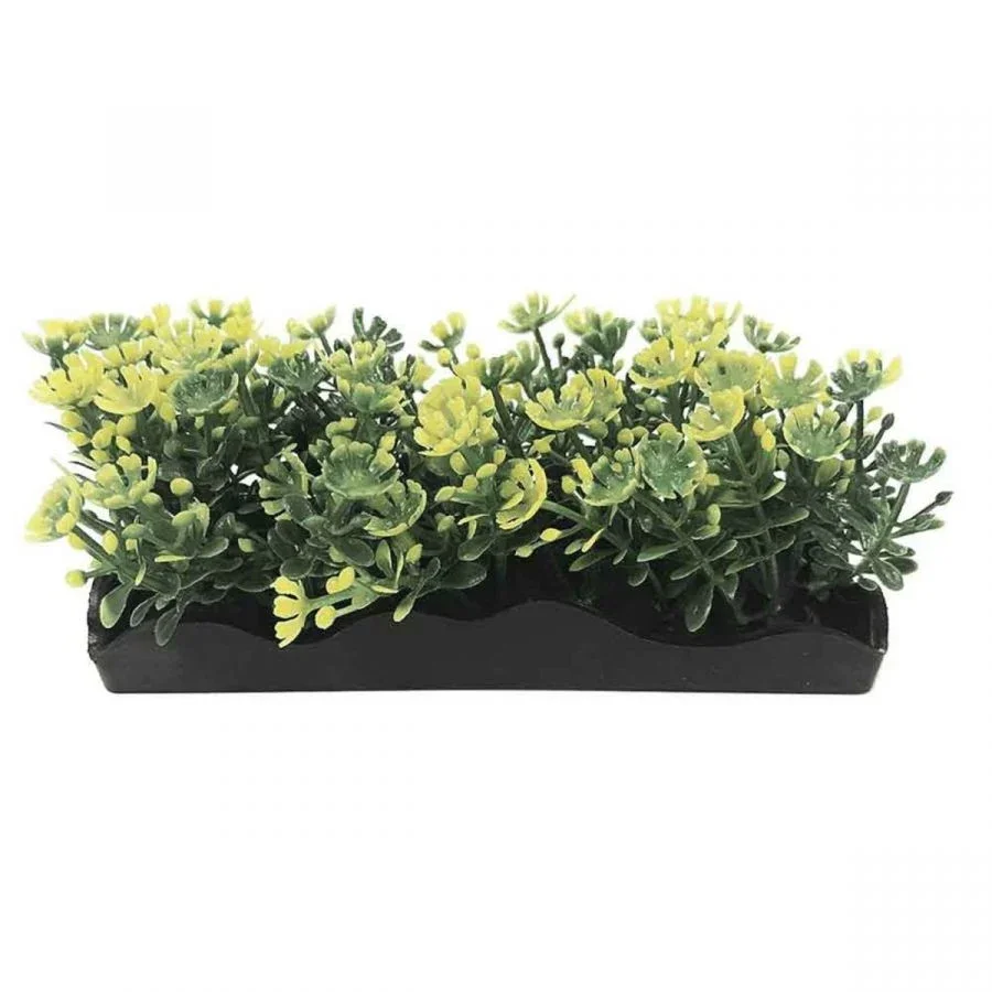 

Yellow Bunch Plants Small