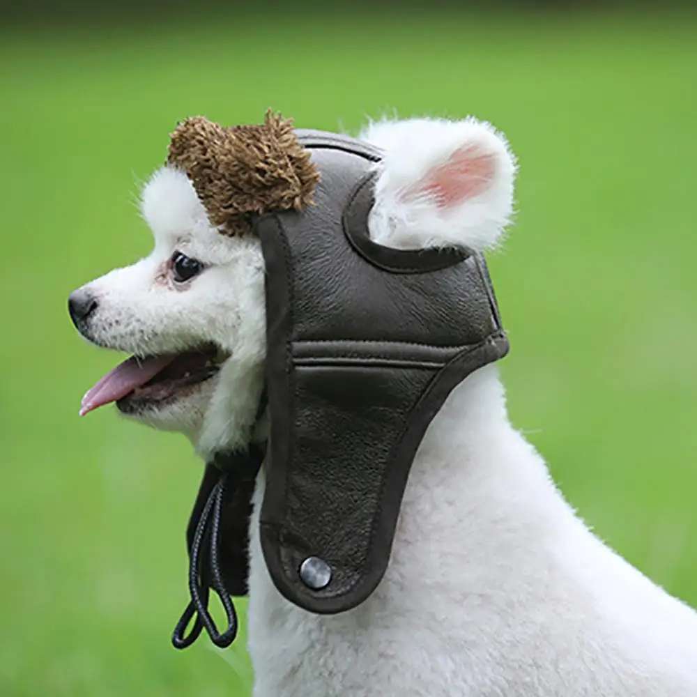 

Vintage Pet Dog Puppy Winter Warm Windproof Cap Protection Cosplay Costume Hat