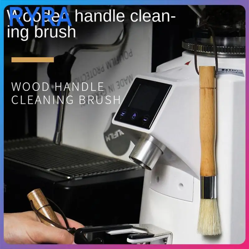 

Natural Cleaning Brush Head Espresso Machine Cleaning Brush Fine Texture Grasp Comfort Keyboard Brush Safety And Health Durable