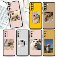 cute charming kitten cat phone case for samsung s22 s21 s20 fe s7 s8 s9 s10e plus ultra 4g 5g cases fundas coque capa