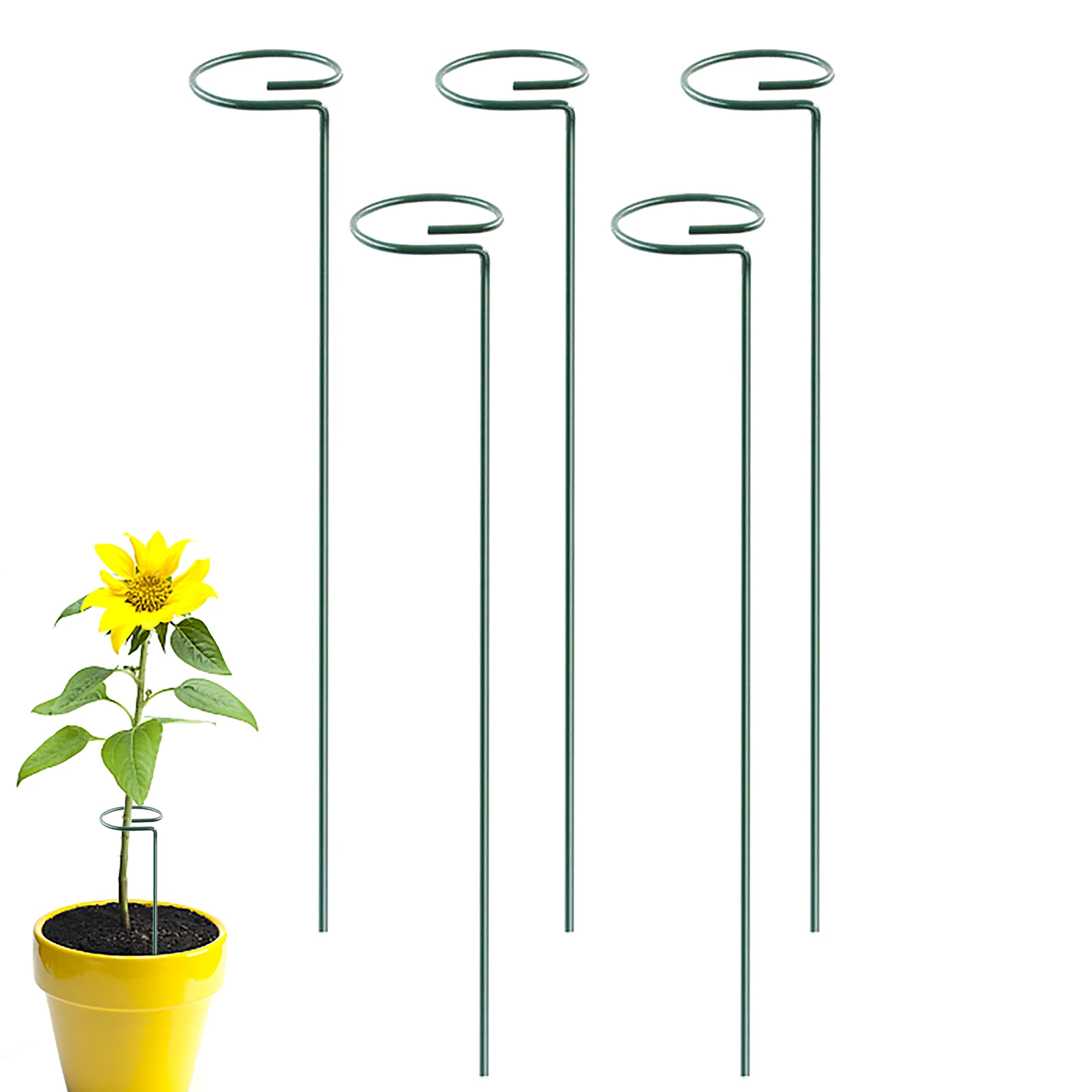

Plant Support Stakes Garden Single Stem Flower Plant Support Plant Cage Support Ring Plant Sticks