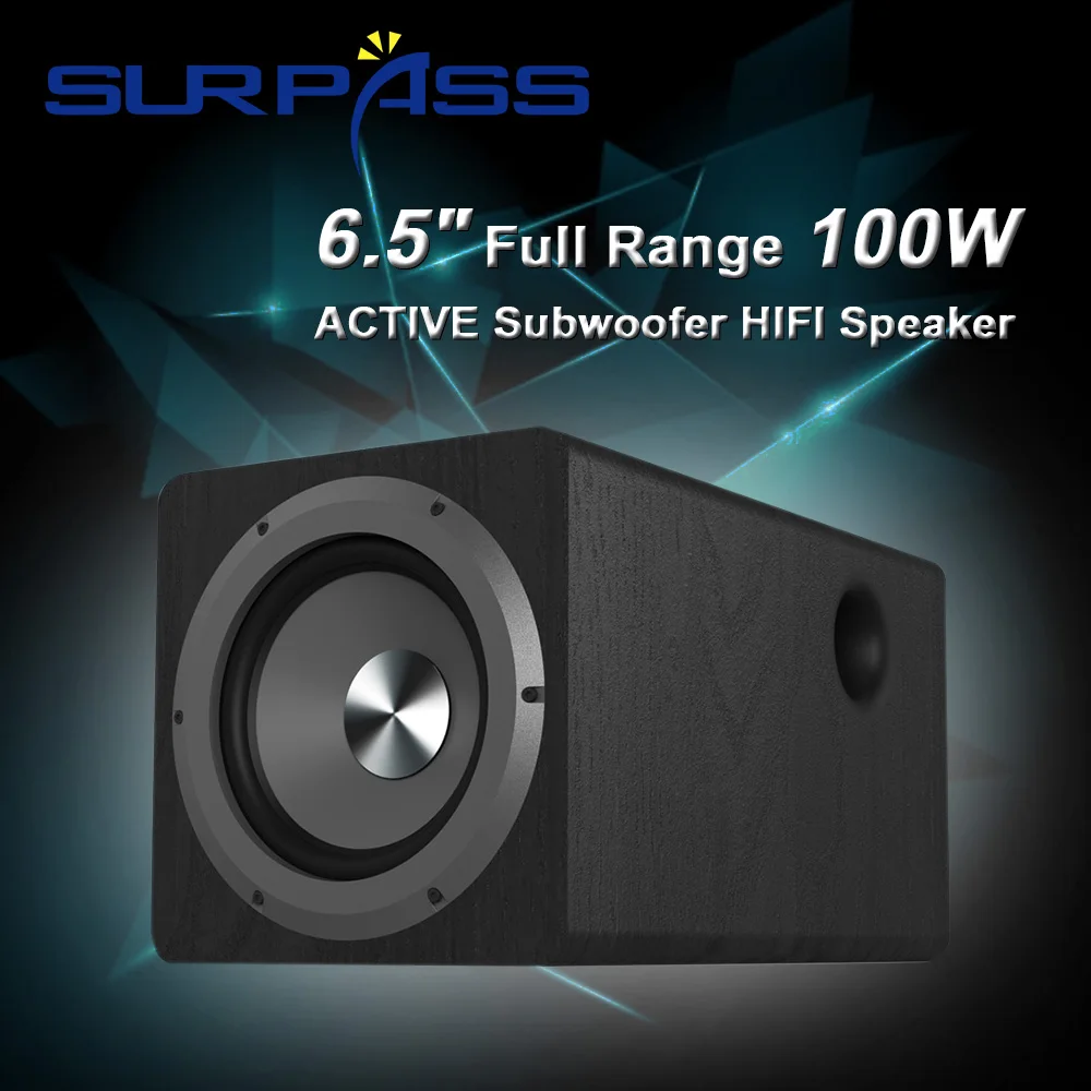

6.5" Subwoofer HIFI Speaker Music 100W Full Range Speaker Audio Resonance Woofer Vibration Strong Bass Loudspeaker for