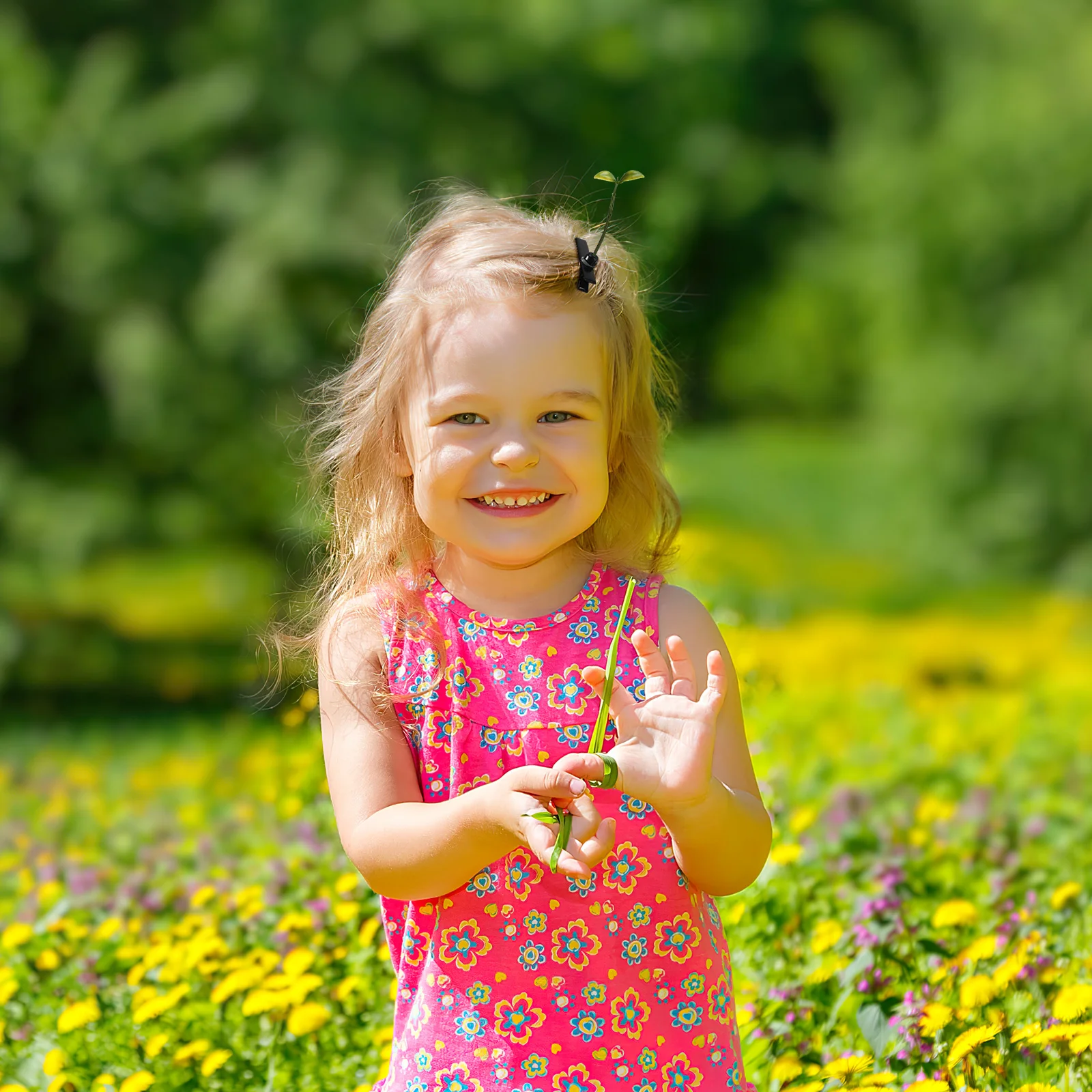 Аксессуары для шпилек зажимы волос с ростками фасоли женщин милые забавные