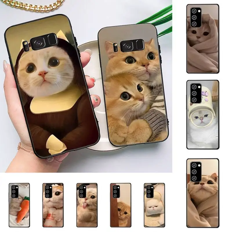 

Funny Cartoon Cat Phone Case for Samsung J 2 3 4 5 6 7 8 prime plus 2018 2017 2016 core