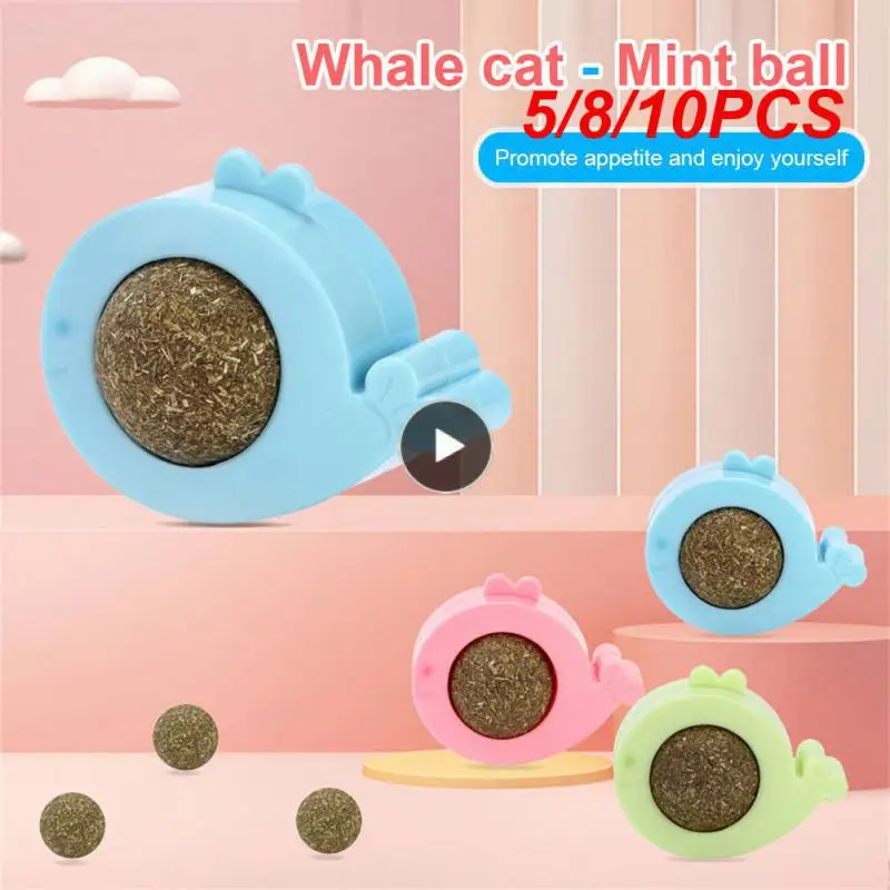 

5/8/10PCS Plastic Fresh Breath Natural Mint Balls Natural Pet Toys Promote Intestinal System Wall Sticker Ball Ball 30g