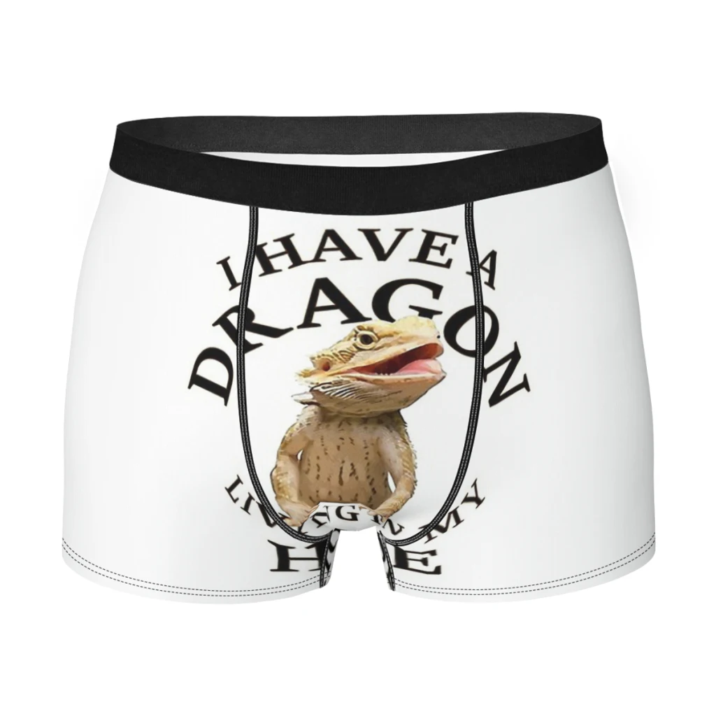

Bearded Dragon Beardie Lizard Pet Gecko Men Boxer Briefs Underwear Art Highly Breathable High Quality Sexy Shorts Gift Idea