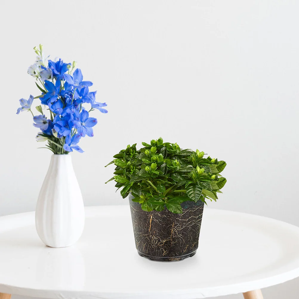 

Transparent Flower Pot Decorative Containers Gardening Small Orchid Indoor Pots
