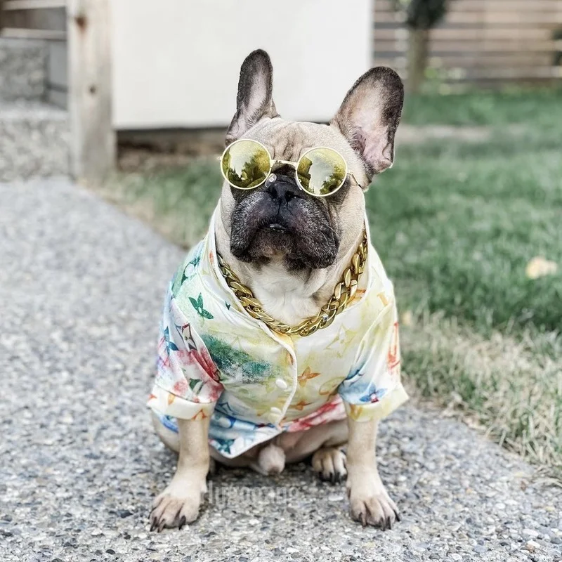 

Роскошная Одежда для собак, одежда для домашних животных, тонкие цветные рубашки на весну и лето, Тедди Шнауцер с французским бульдогом, мод...