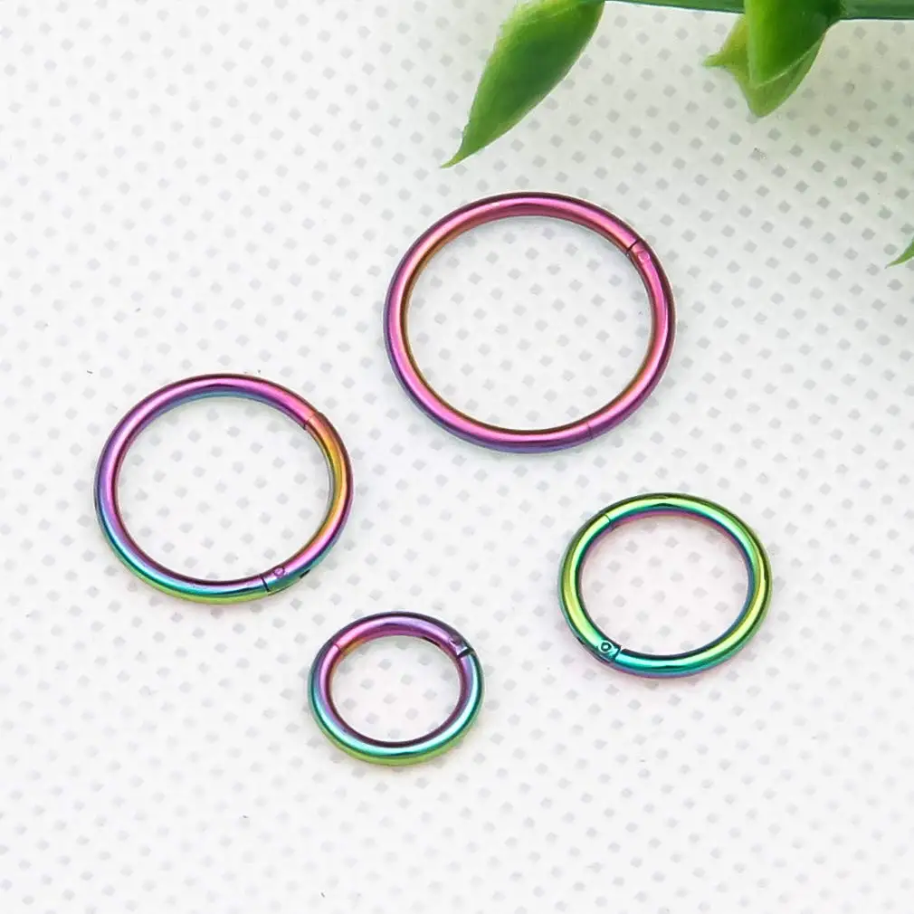 4PCS Hinged Hoop Earrings Titanium Clicker Segment Nose Ring Helix Cartilage Septum Piercing Unisex Rainbow Body Jewelry Set