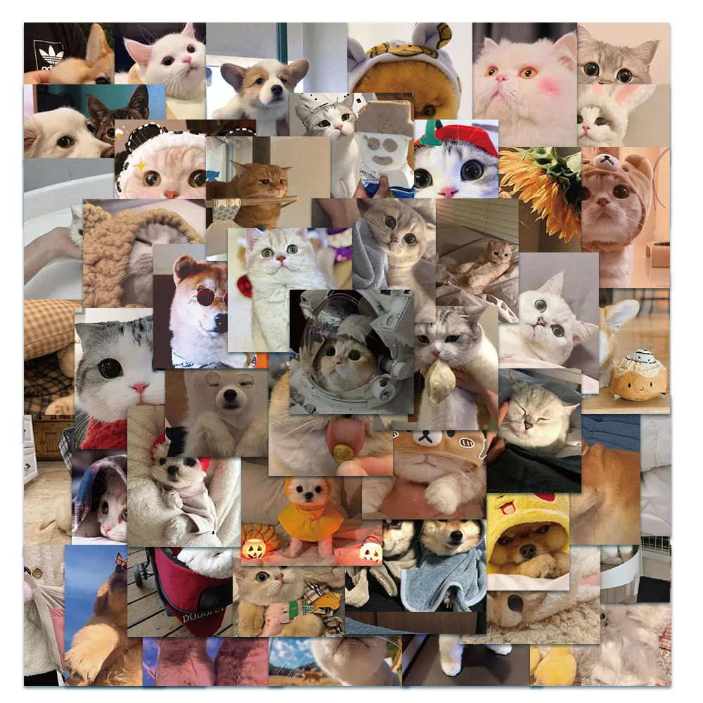 

50PCS Winter Cat Dog Life Sticky Graffiti Sticker Decorative PVC Kids Sketchbook Scrapbooking Accessories DIY Phone Aesthetic
