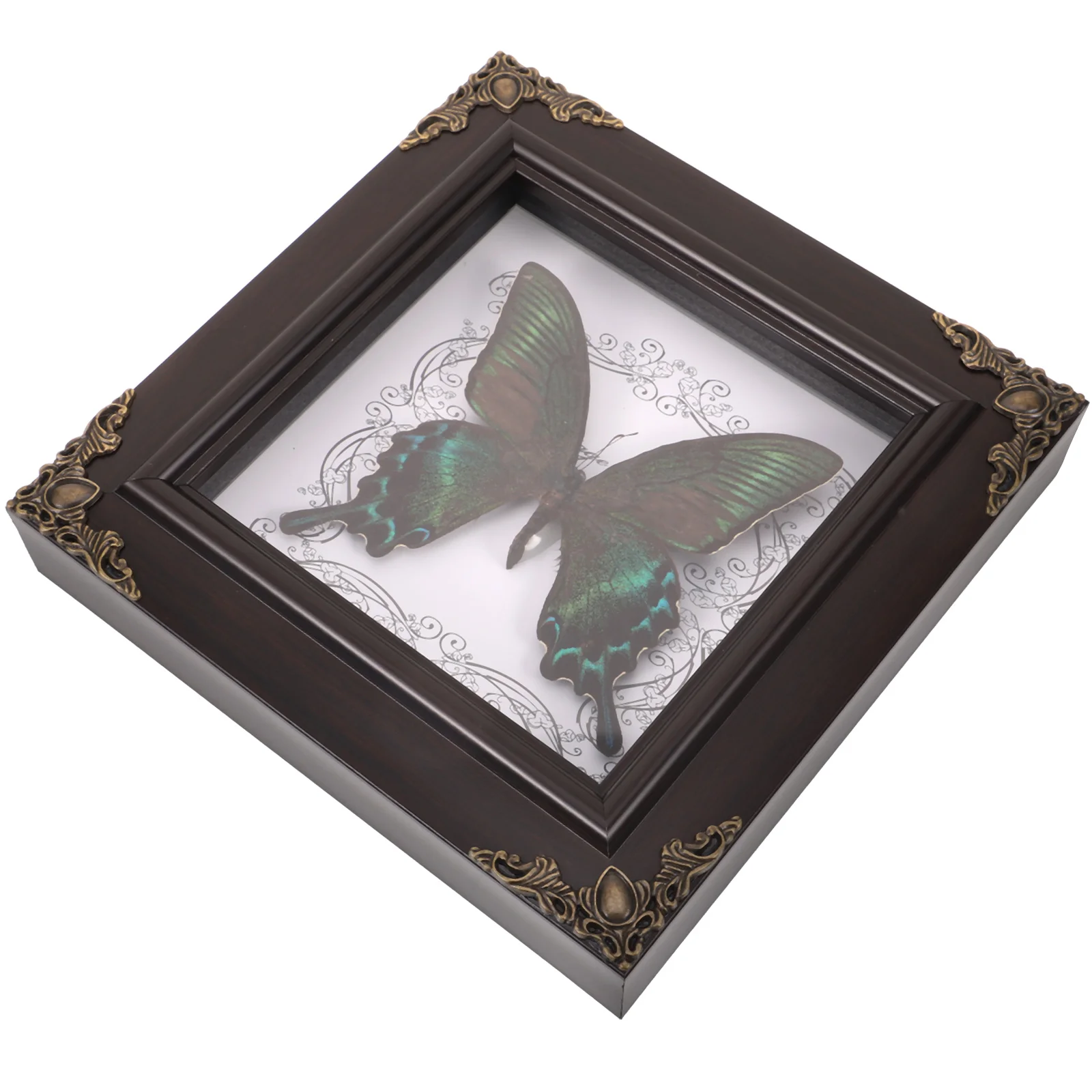 Образец бабочки фоторамка дисплей настольный домашний декор монарх таксидермия