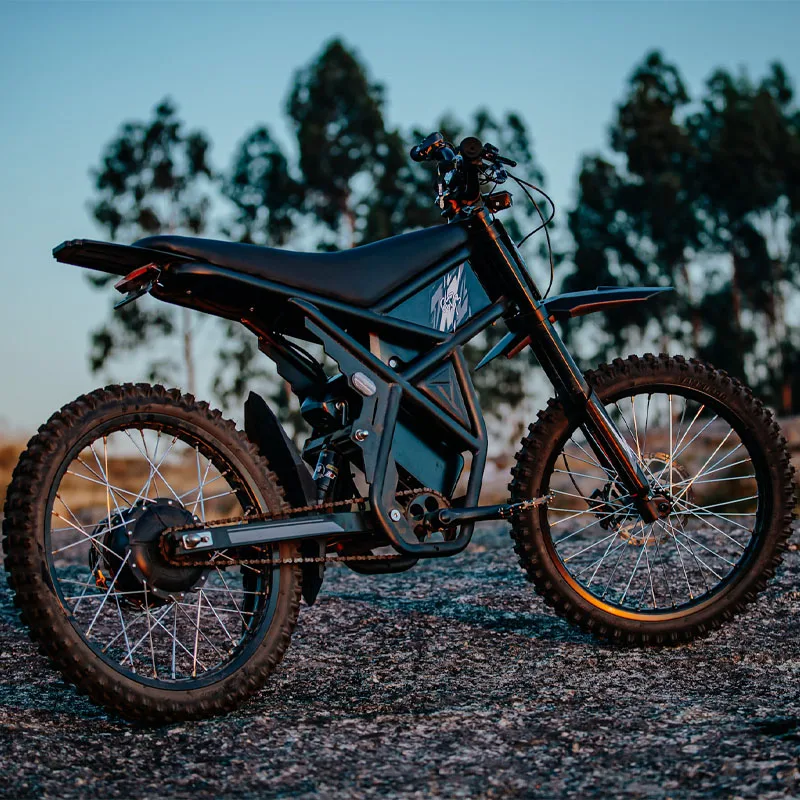 Фото STLF RidingTimes GT73 All Terrain 36,4 Ач для США 2400 Вт для ЕС 250 Вт Fat Tire Dirt Ebike E Bike Электрический велосипед Ebike №1