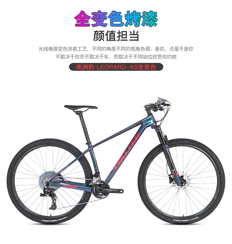 

TWITTER 2021 new bicycles LEOPARD-XS full color change M7100-2 x12Speed small set of double disc brakes carbon bike frame29bike