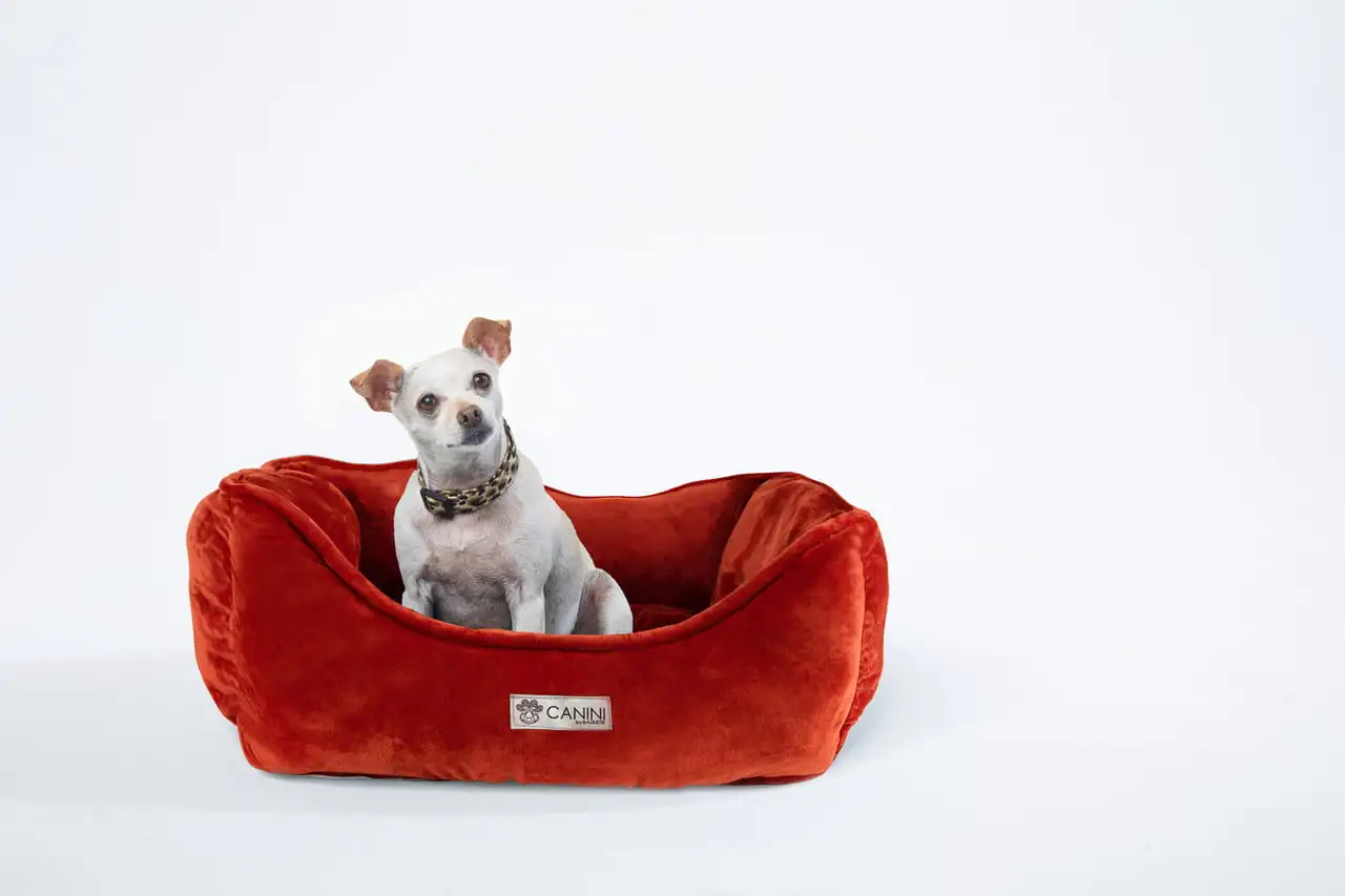 

Reversible Micro-Plush Dog Bed for Small-Sized Breeds, Russet Red