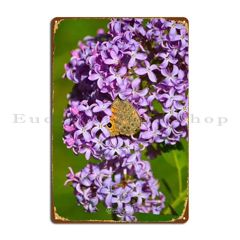 

Настенный плакат с изображением бабочки и сирени