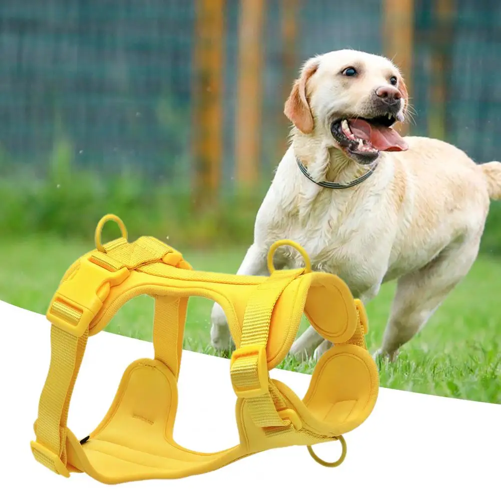 

Поводок-поводок для дрессировки домашних животных