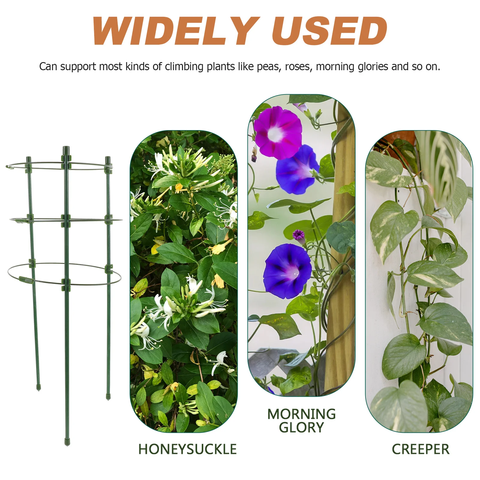 

Indoor Plants Climbing Frame Orchid Display Rack Flower Trellis Lattice 43X19CM Plastic Stand Protection Metal