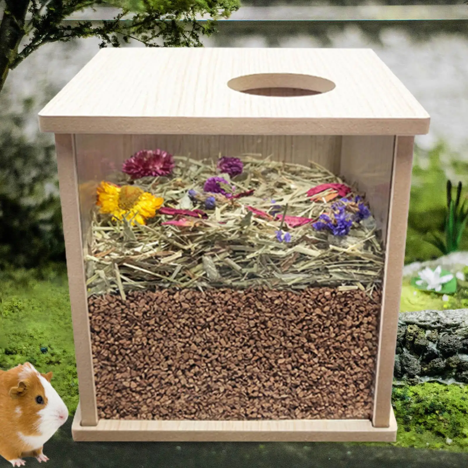 

Acrylic Habitats Playing Chinchillas Front Opening Rest Hamster Wooden Cage