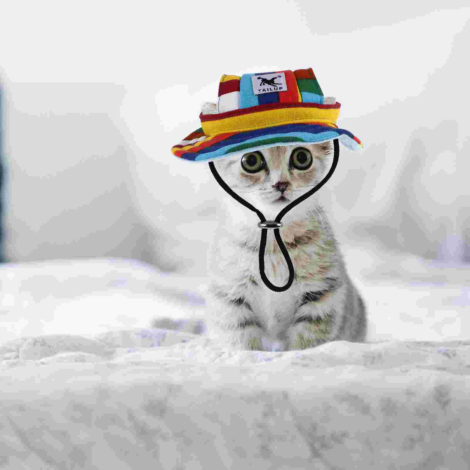 

Dog Hat Cap Dogs Hats Pet Sun Baseball Puppy Canvas Shading Graduation Medium Cats Cat Large Visor Visors Birthday Hard Ear