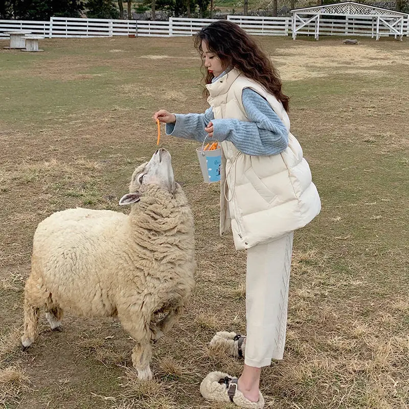 

2022 Autumn Winter Thick Warm Vest Jacket Women Casual Sleeveless Stand Collar Waistcoat Female Loose White Duck Down Vest E116