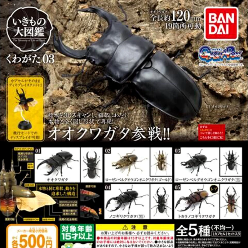 

Original Japan Bandai Capsule Toys Cute Simulated Insects Stag Beetle Figurine Kawaii Gashapon Miniature Models