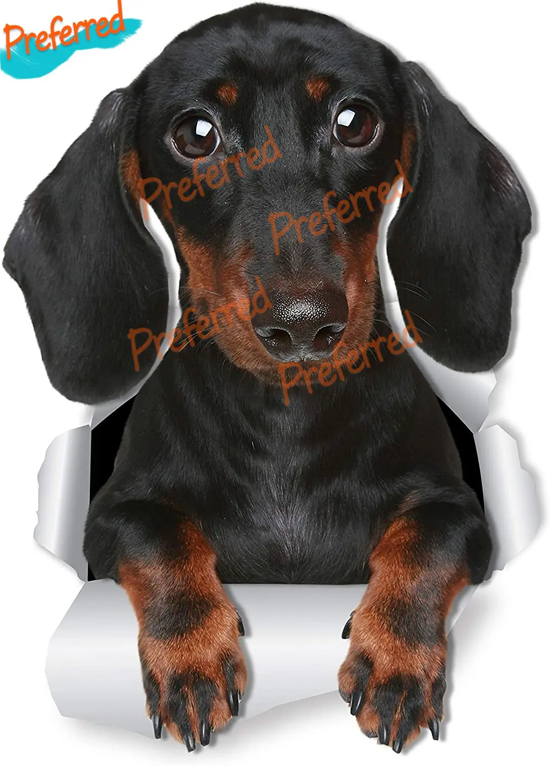 

Милая такса, колбасная лампа, наклейка на унитаз для собак-3D наклейка на окно автомобиля и бампер-такса, подарки для любимых