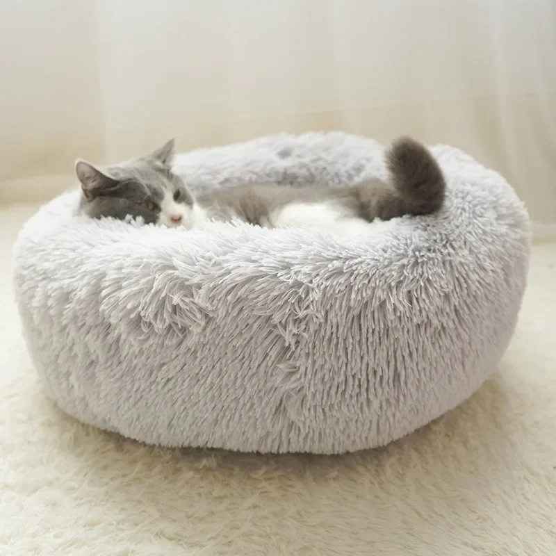 Эль otoño estáراق государственpuede estar lejos del invierno? Tu mascota интеллектуальное удобное и