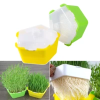 2022jmtbean sprouts growing tray seed seedling starter dish greenhouse hydroponics plant cat grass germination nursery pot grow