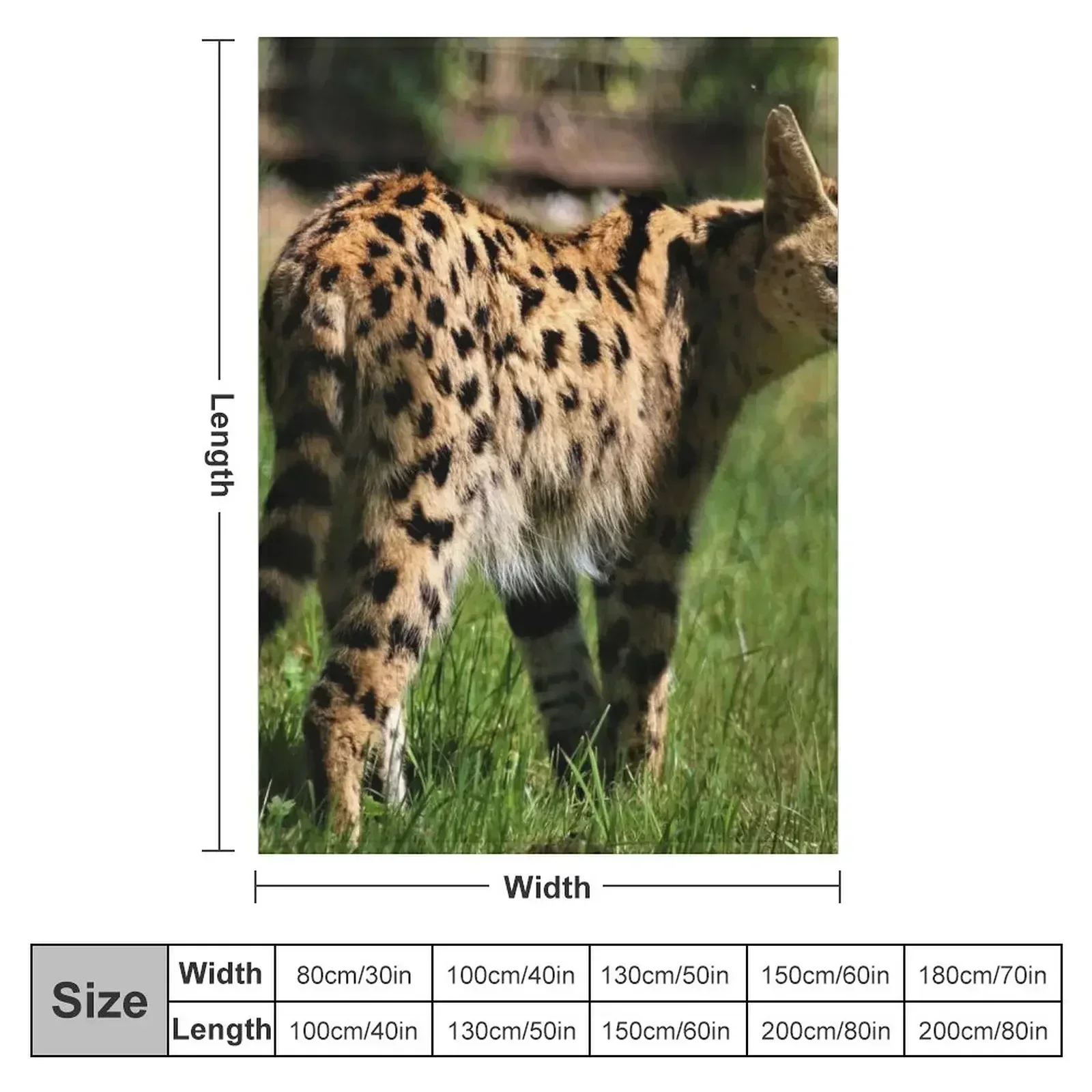 Гладкое одеяло Serval для дивана персонализированные подарочные туристические