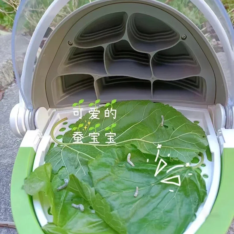 Контейнер для наблюдения за насекомыми кормления детей