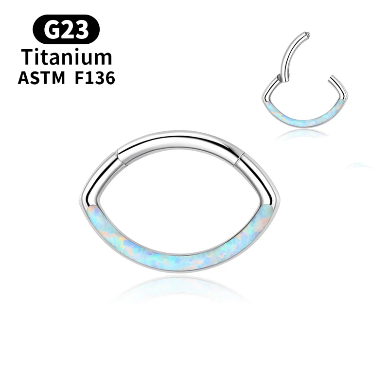 

Piercing Tragus Clicker Daith Earrings Titanium Diaphragm Cartilage Industrial Nose Ring Hinge Section Helix Zircon Body Jewelry