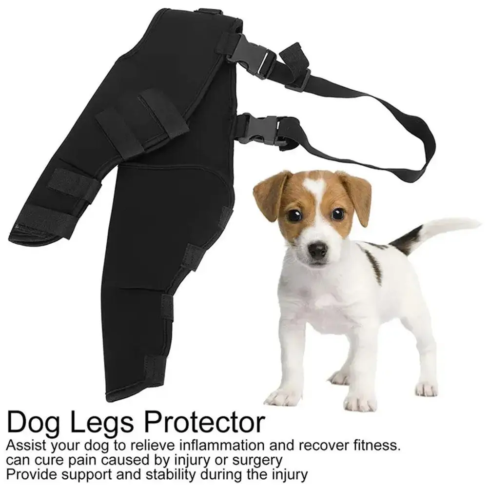 

Dog Leg Support Brace Knee Hip Joint Protect Wounds Prevent Injuries Canine Aid And Ligament Rehabilitation For Pets Access O4T0