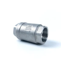 1438121342 stainless steel ss304 vertical lift in line spring check valve dn8 dn10 dn15 dn20 dn25 dn32 dn40 dn50