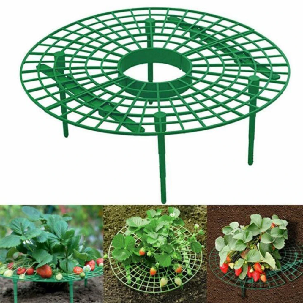 

Strawberry Plant Stand Fruit Vine Vegetable Tools Climbing Rack Growing Frame Holder Protecting Ground for 10pcs