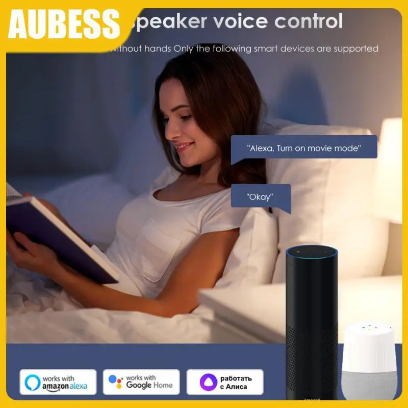 

Wireless Support Two Way Diy Switch Module Work With Alexa Google Home Wifi Mini Smart Switch App Control Smart Breaker 10a Tuya