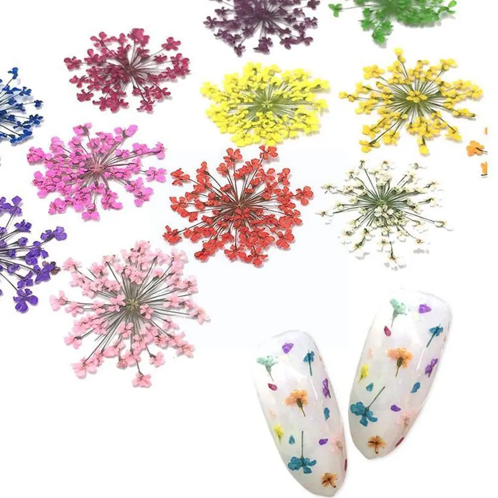 

12/24/36Pcs Dried Flower Nail Art Decorations 3D Gradient Accesso Sticker Petal Decals Gel DIY Manicure Floral Dry Polish M T2T5