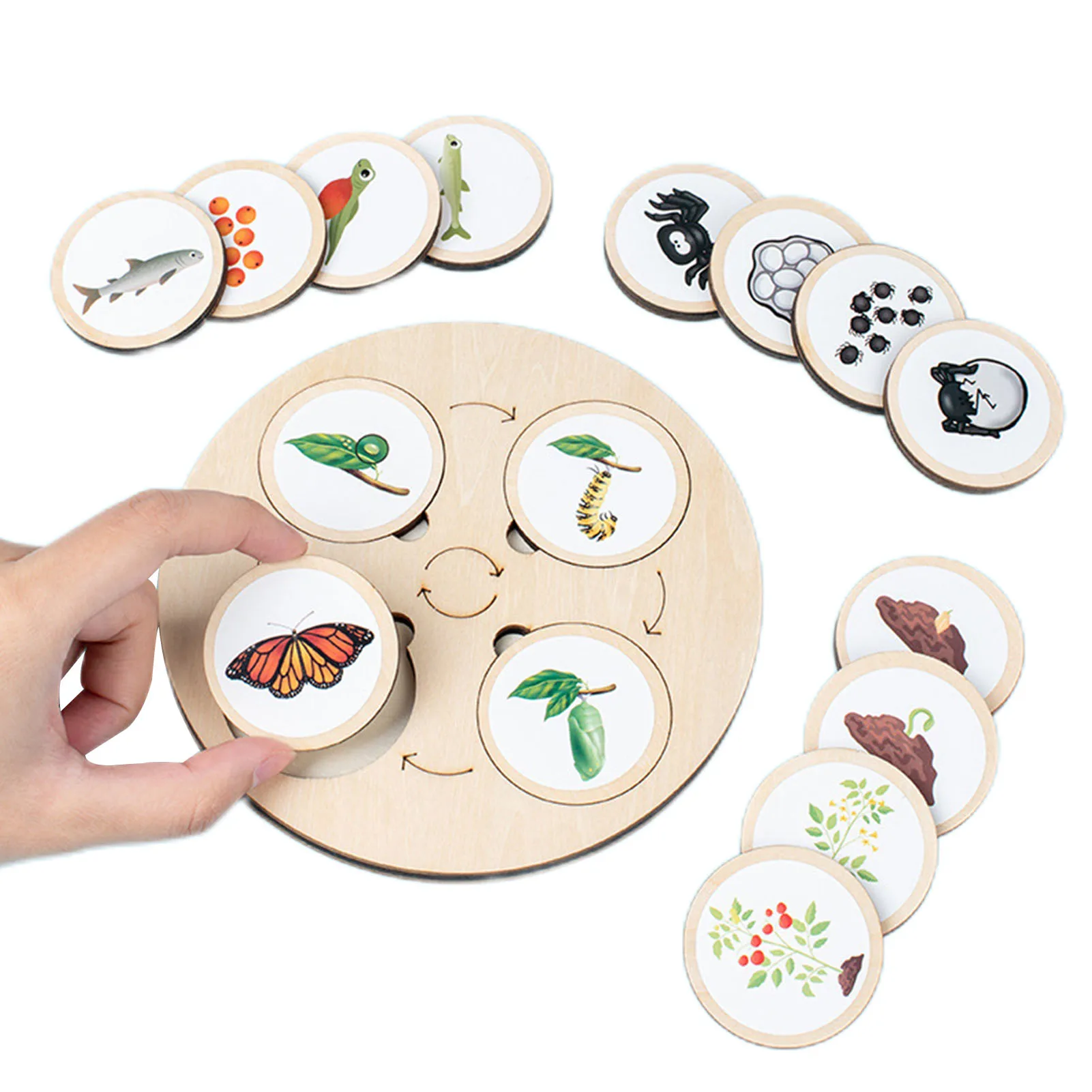 

Доска-пазл с жизненным циклом, игрушка Монтессори, биология, научное образование, деревянные игрушки для детей, сенсорный лоток, фигурка жив...