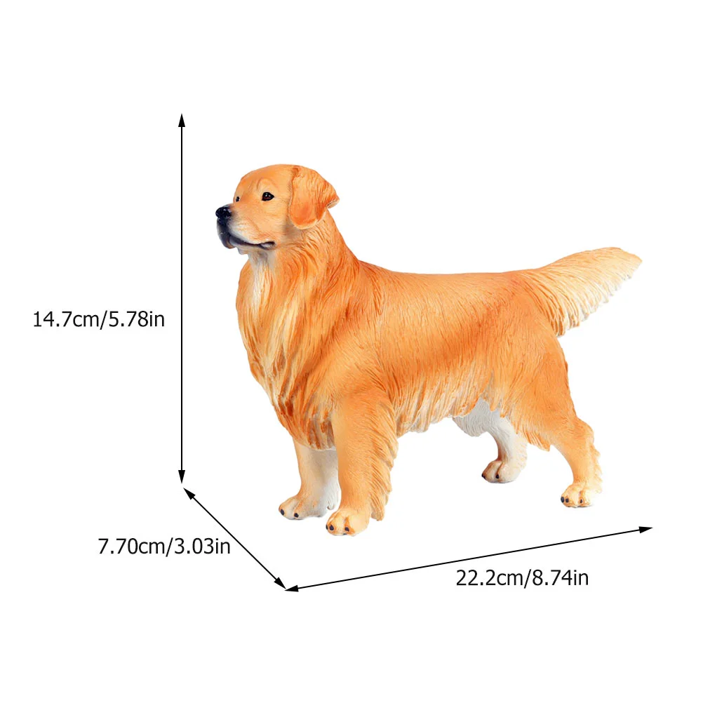 Рисунок 3 - Золотистый ретривер
