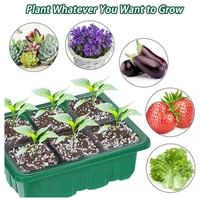 12 holes plant flower nursery pots tray plastic jardin semillas seed growing box insert seedling case with lid garden supplies
