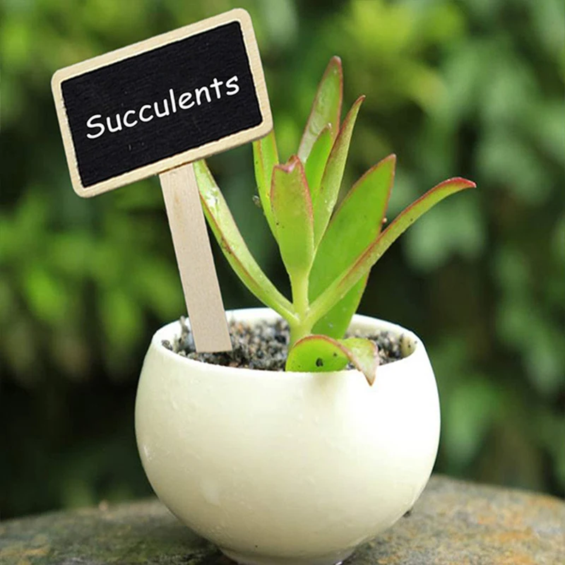 

10pcs/set Garden Markers Easy Write Vegetable Labels With Blackboard Plant Tags T Type Wooden Home Flowers Fruit Small Durable