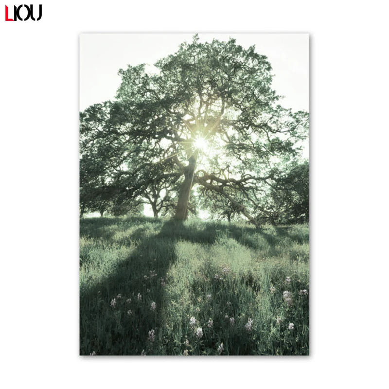 Солнечное поле Гора Цветок Пыльногоца Художественная картина на холсте Постеры и печати в стиле Нордик для декора гостиной.