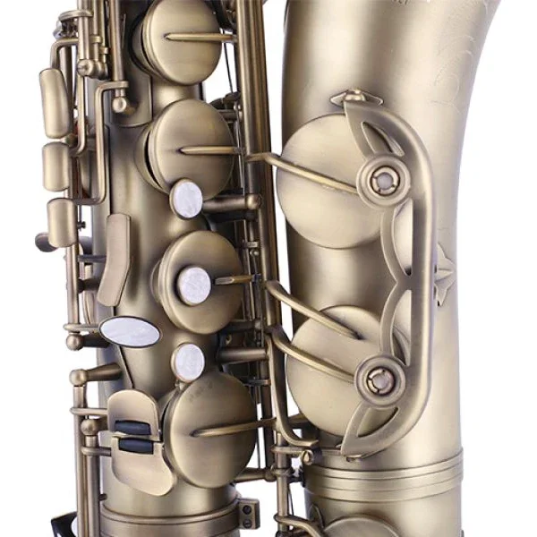 Профессиональный тенор-саксофон TS-5021 оптовая цена профессиональный инструмент Bb