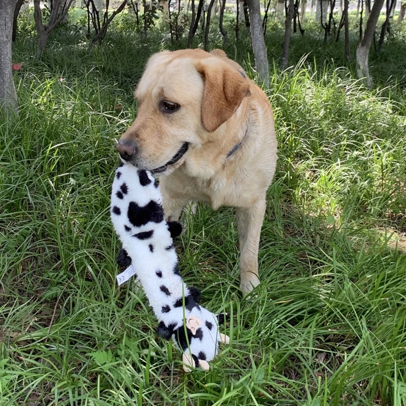 

Мягкая игрушка для собак, плюшевая игрушка-пищалка, милая интерактивная жевательная игрушка в форме животного для улучшения здоровья питомца, Y5GB