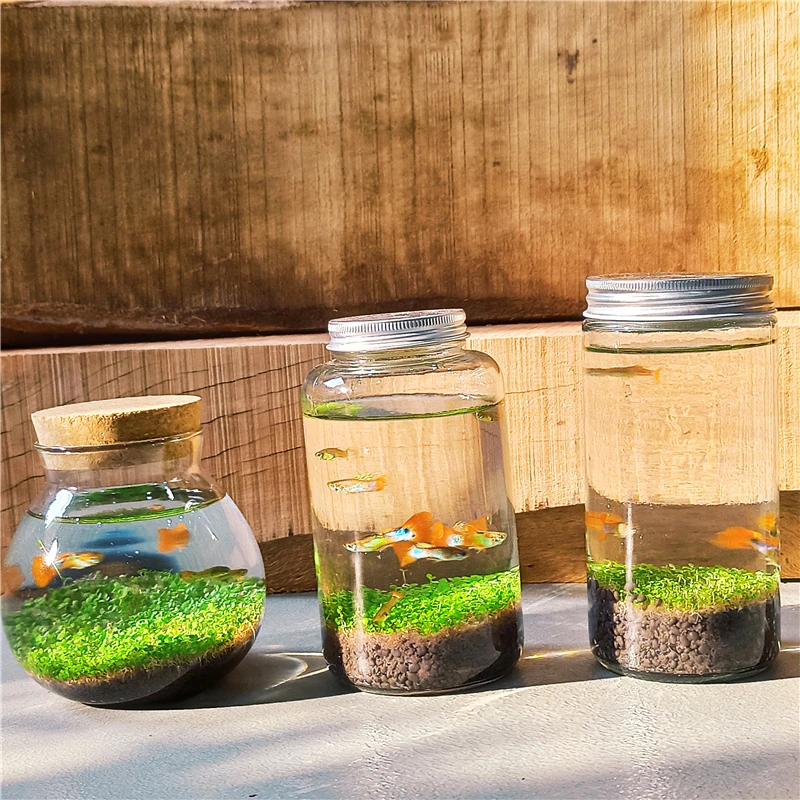 Бесшумный мини-домик Guppy современный круглый маленький Террариум для разведения