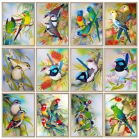 chenistory drawing by numbers bird framed acrylic painting by numbers animal for adults kids diy 60x75cm home decor
