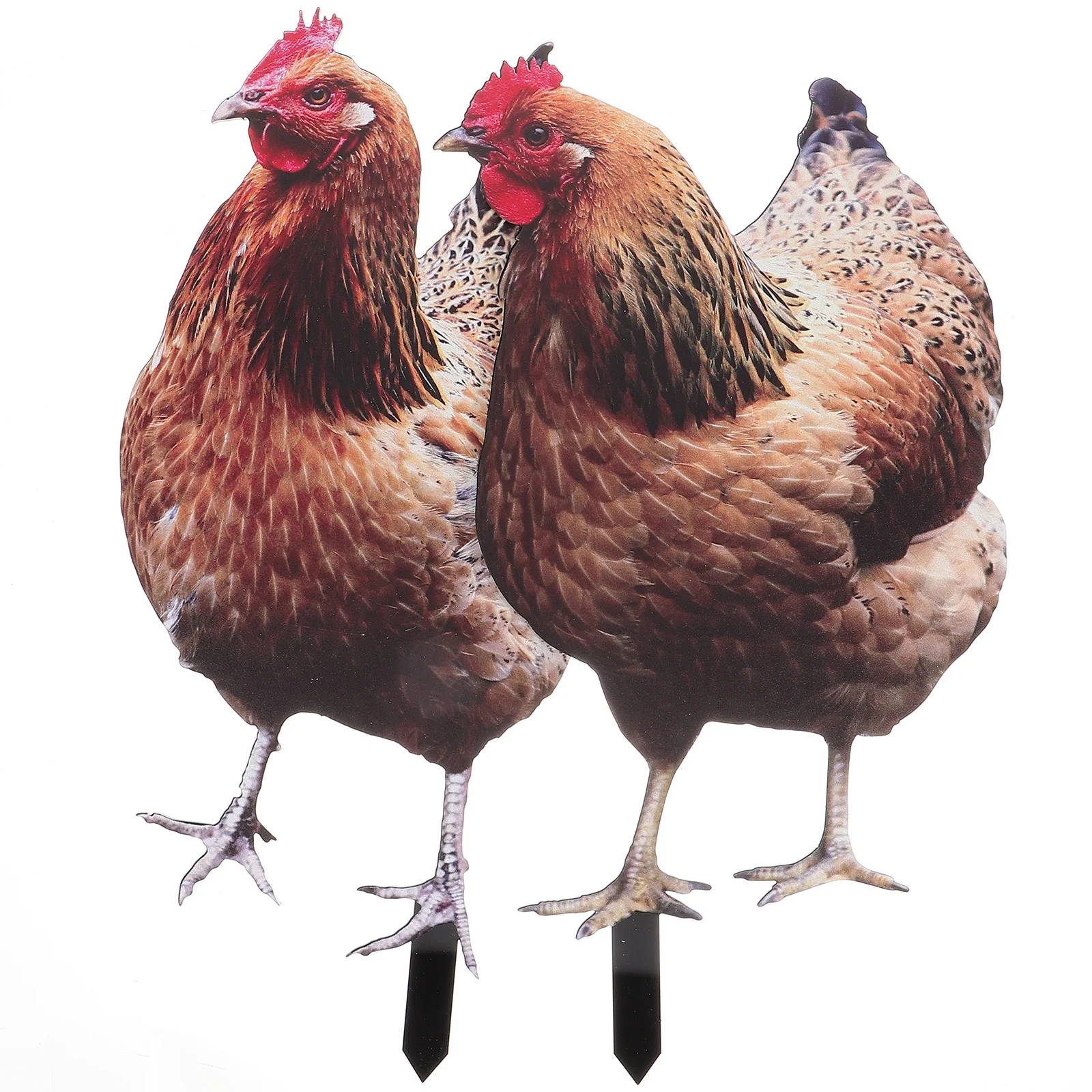 

2 Pcs Chicken Garden Decoration Run Accessories Yard Ornament Lawn Stake Acrylic