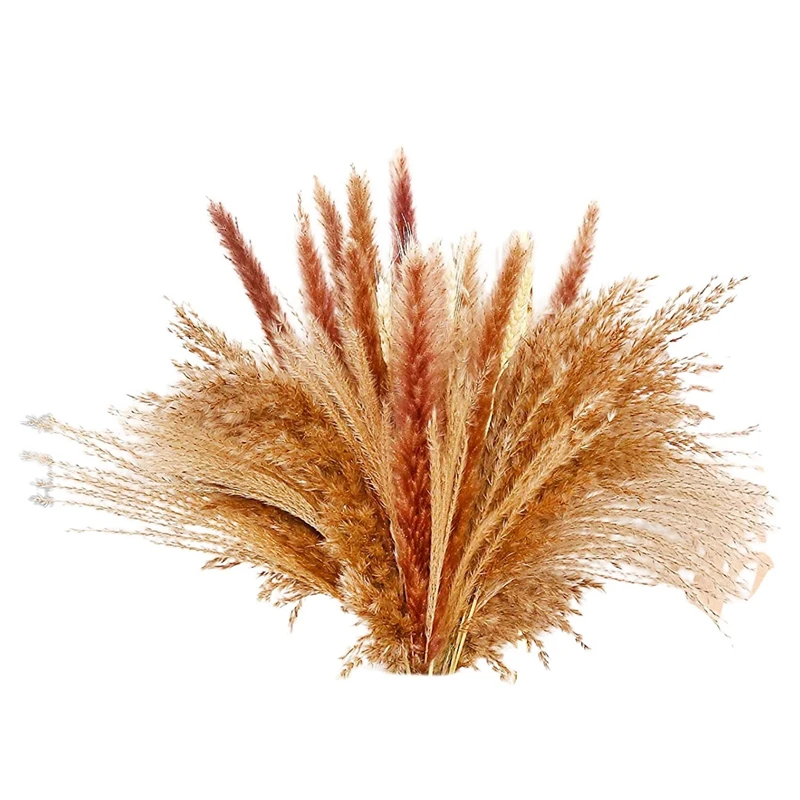 

Пампасная трава, пампасная трава, украшение, натуральная высушенная пампасная трава, маленькая фотография цветочных композиций