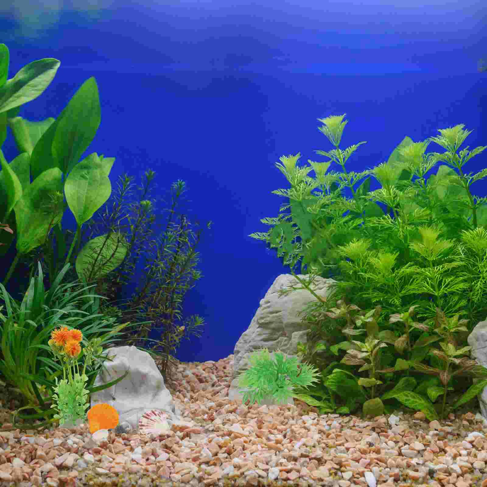 Аквариумные ракушки украшения аквариум ландшафтный дизайн декор для бутылок с